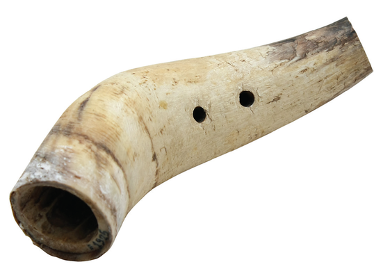 Horn pipes